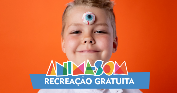 Recreação Animasom Tijuca – Animasom