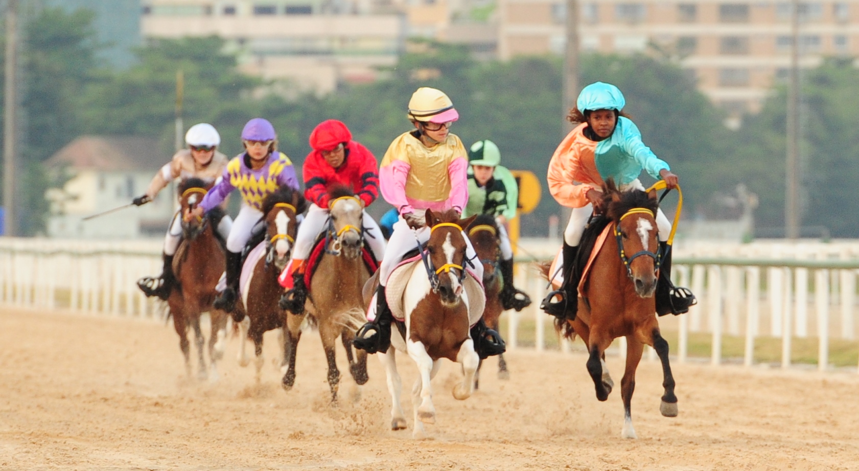 Token sobre corrida de cavalos valoriza quase 2.000% em 7 dias